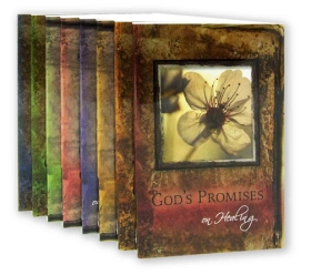 God's Promises Series